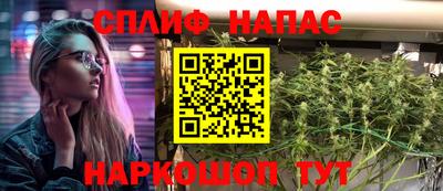 a pvp Славгород