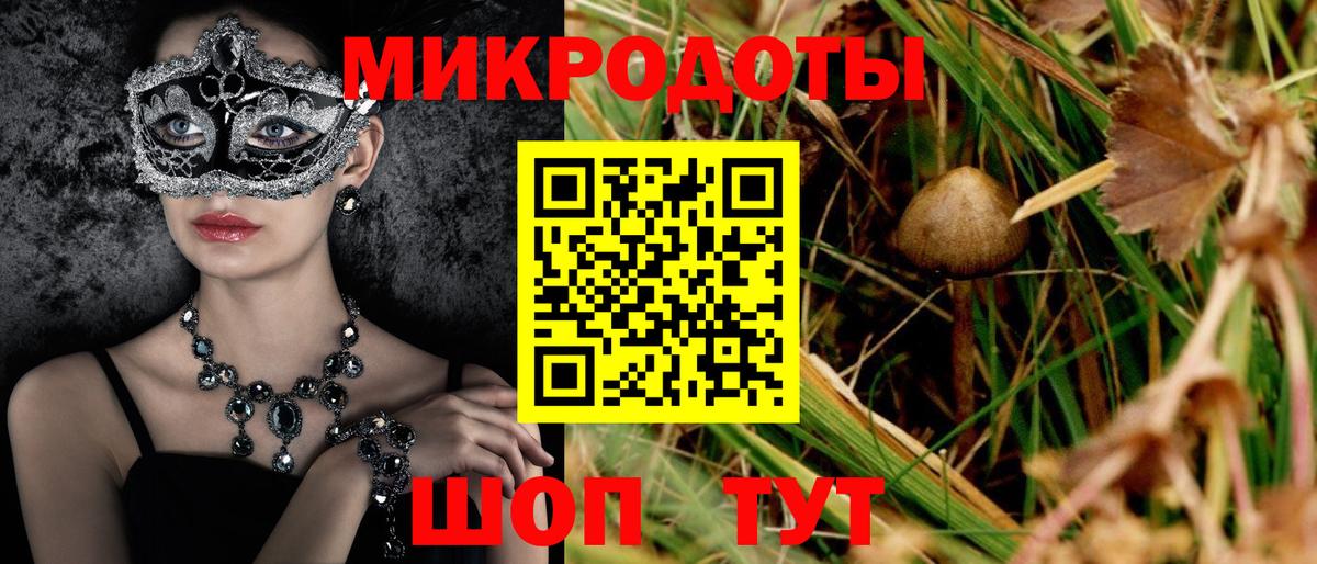 Псилоцибиновые грибы ЛСД  Псилоцибиновые грибы Psilocybine cubensis  Павлово  Вход с VPN 